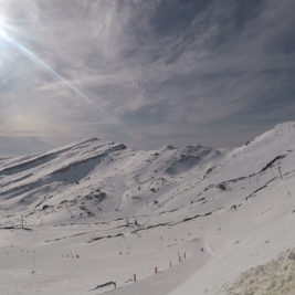 alto campoo luis goñi